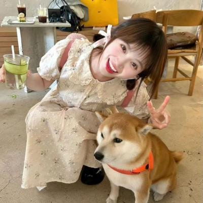 摇滚藏獒:乘风破浪 在线观看